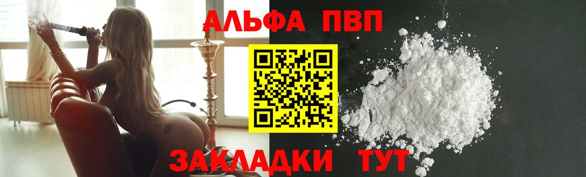 ГАШ Курчалой