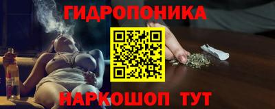 прущие грибы Ирбит