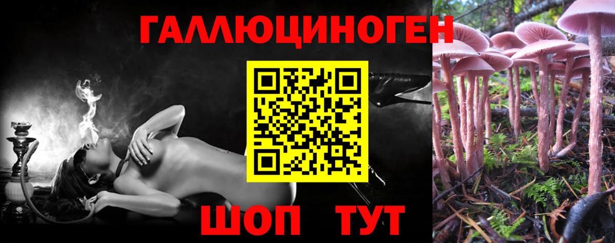 Галлюциногенные грибы Magic Shrooms Курчалой